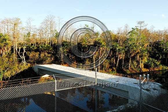 Wildlife underpass for Florida panthers (Puma concolor coryi) and wildlife bridge across canal, SR 29, Florida, USA