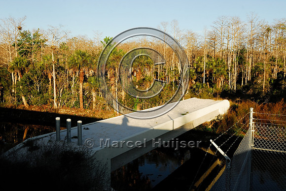 Wildlife underpass for Florida panthers (Puma concolor coryi) and wildlife bridge across canal, SR 29, Florida, USA