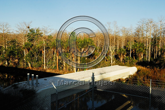 Wildlife underpass for Florida panthers (Puma concolor coryi) and wildlife bridge across canal, SR 29, Florida, USA