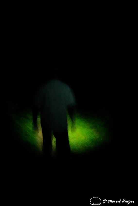 Researchers at work, Igor Pfeifer Coelho looks for nocturnal mammals in lowland forest, Santa Catarina, Brazil