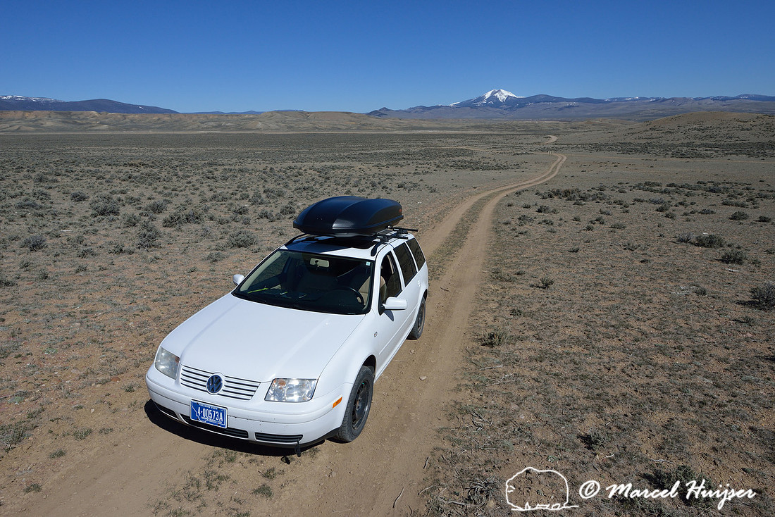 On my way to where the sage grouse are, Montana, USA