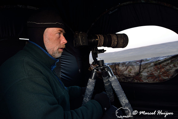 Marcel Huijser in his blind at a sage grouse lek, Montana, USA
