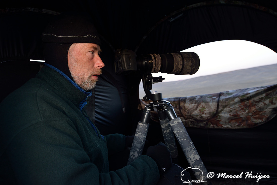 Marcel Huijser in his blind at a sage grouse lek, Montana, USA