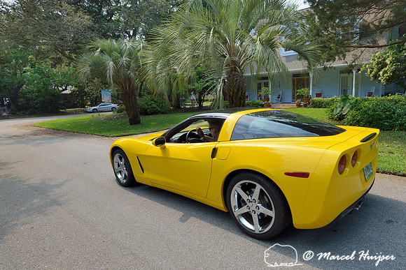 Marcel Huijser and a yellow Chevrolet Corvette, Florida, USA