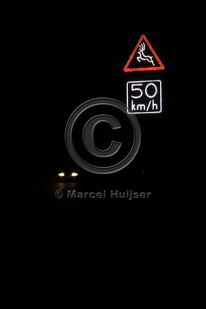 Animal detection system at night, Harderwijk, The Netherlands