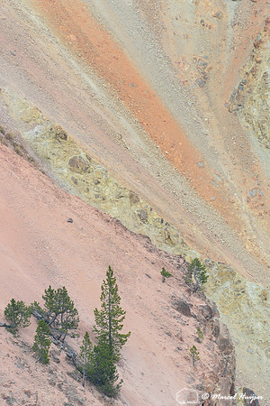 Grand Canyon of the Yellowstone, Yellowstone National Park, Wyoming, USA