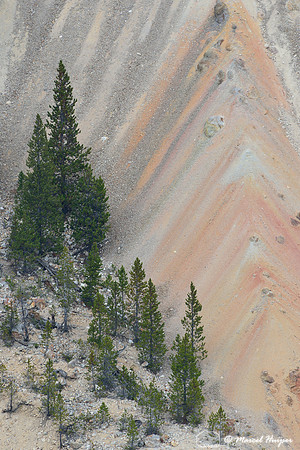 Grand Canyon of the Yellowstone, Yellowstone National Park, Wyoming, USA