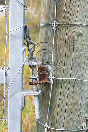 Pedestrian and bicyclist gate at electrified barrier to keep bea