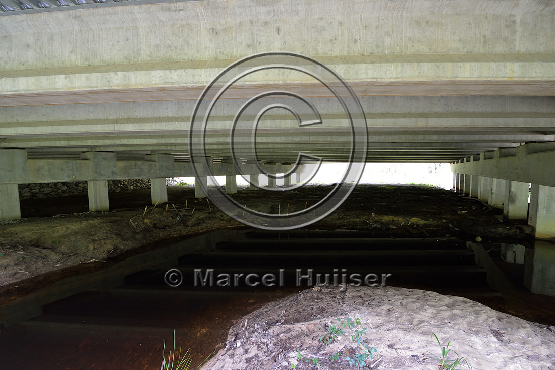 Multifunctional underpass (about 56 m wide for water and wildlife), Hwy 331/83 near Freeport, Florida, USA