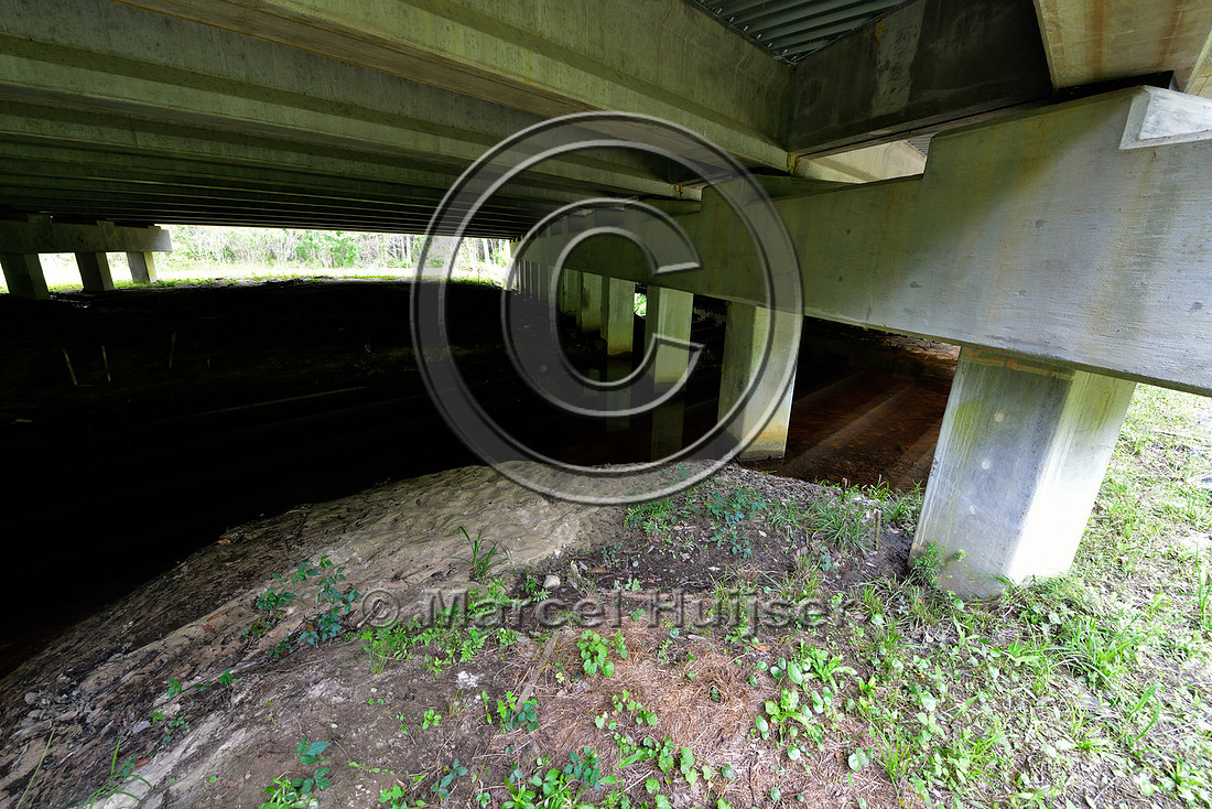 Multifunctional underpass (about 56 m wide for water and wildlife), Hwy 331/83 near Freeport, Florida, USA