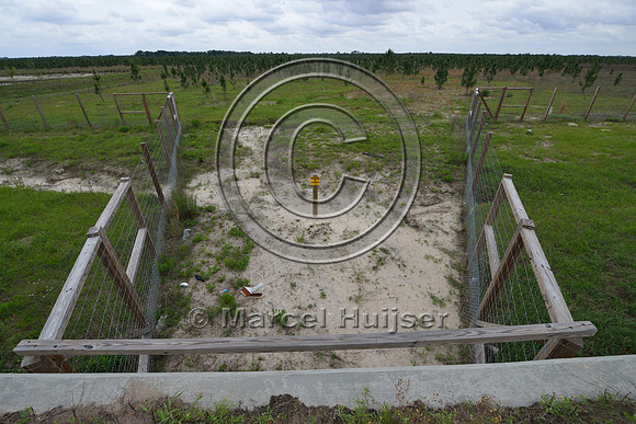 Wildlife fence (smaller mesh size towards bottom) funnels wildlife towards wildlife underpass, Hwy 331, Hwy 83 near Freeport, Florida, USA