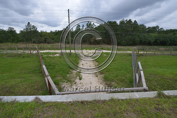 Wildlife fence (smaller mesh size towards bottom) funnels wildlife towards wildlife underpass, Hwy 331, Hwy 83 near Freeport, Florida, USA