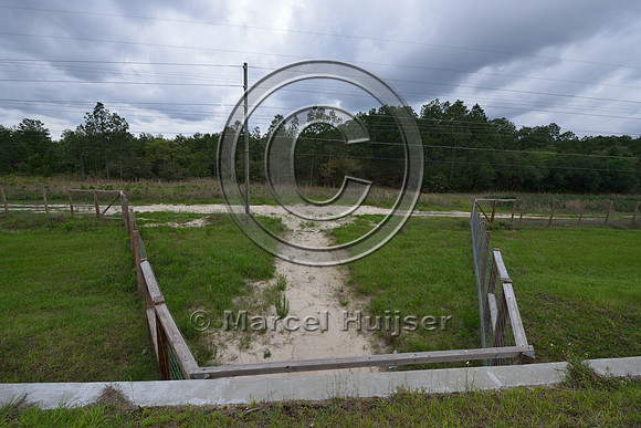 Wildlife fence (smaller mesh size towards bottom) funnels wildlife towards wildlife underpass, Hwy 331, Hwy 83 near Freeport, Florida, USA