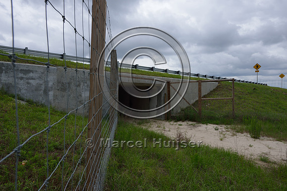 Wildlife fence (smaller mesh size towards bottom) funnels wildlife towards wildlife underpass, Hwy 331, Hwy 83 near Freeport, Florida, USA