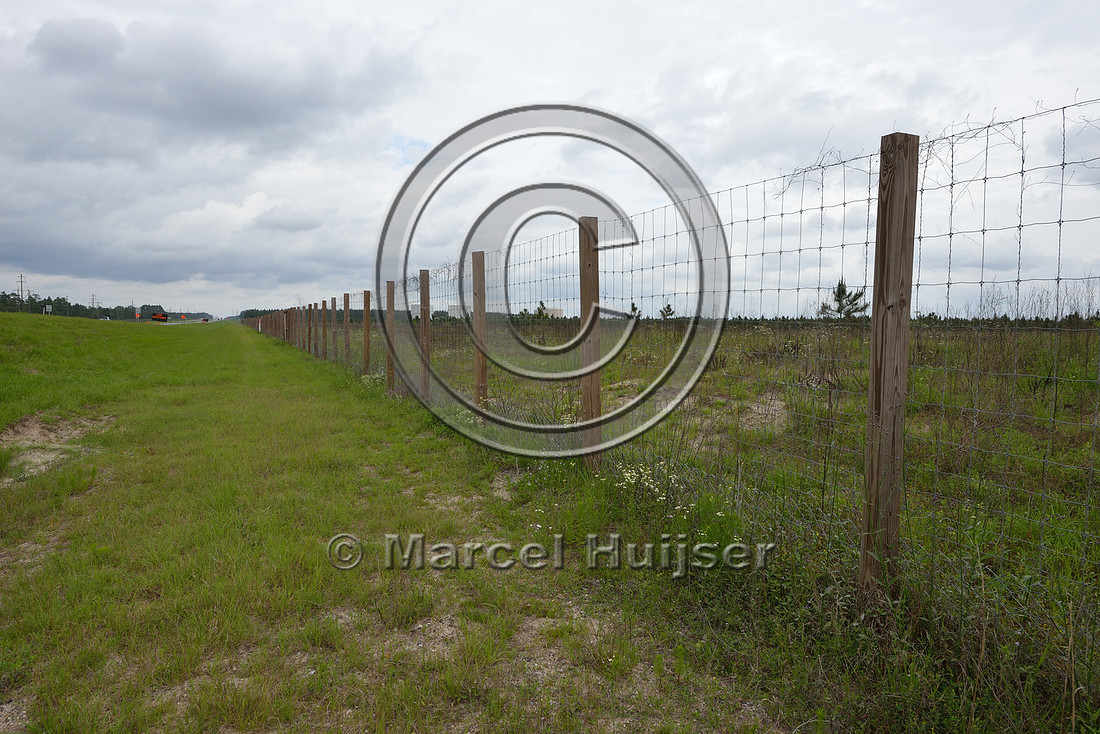Wildlife fence (smaller mesh size towards bottom), Hwy 331, Hwy 83 near Freeport, Florida, USA