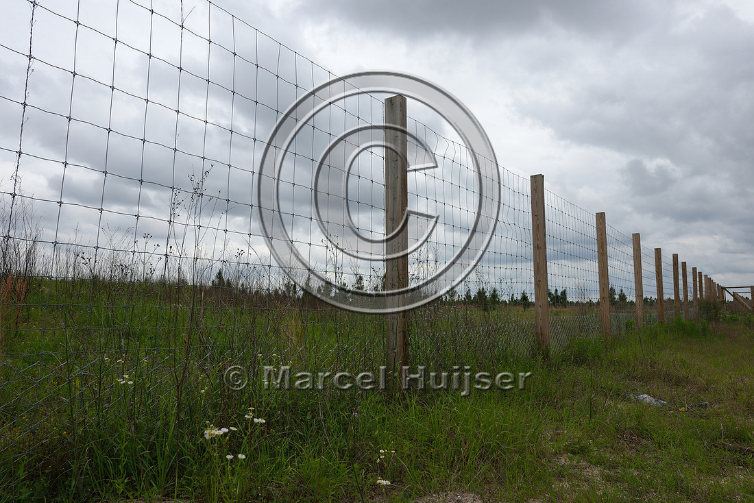 Wildlife fence (smaller mesh size towards bottom), Hwy 331, Hwy 83 near Freeport, Florida, USA