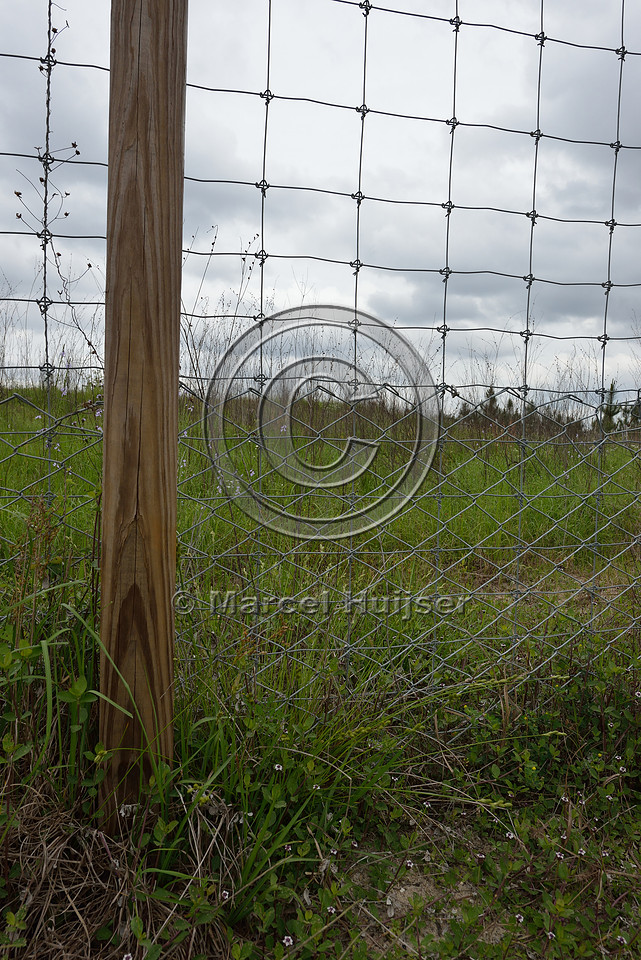 Wildlife fence (smaller mesh size towards bottom), Hwy 331, Hwy 83 near Freeport, Florida, USA