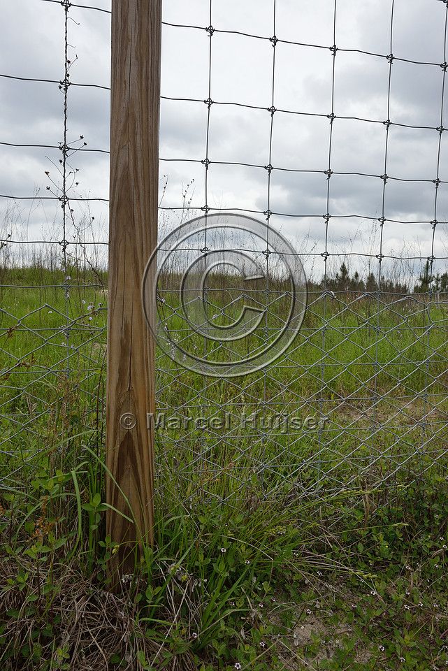 Wildlife fence (smaller mesh size towards bottom), Hwy 331, Hwy 83 near Freeport, Florida, USA