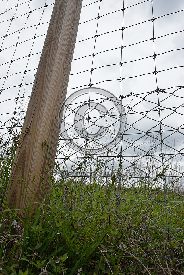 Wildlife fence (smaller mesh size towards bottom), Hwy 331, Hwy 83 near Freeport, Florida, USA