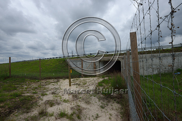 Wildlife fence (smaller mesh size towards bottom) funnels wildlife towards wildlife underpass, Hwy 331, Hwy 83 near Freeport, Florida, USA