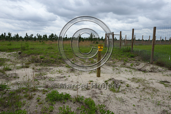 Sign, posted, no trespassing, at entrance and exit of wildlife underpass, Hwy 331, Hwy 83 near Freeport, Florida, USA