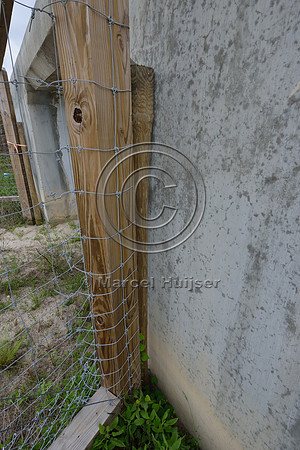 Tight connection (no gap) between last fence post and wall of the wildlife underpass, Hwy 331, Hwy 83 near Freeport, Florida, USA