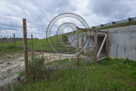 Wildlife fence (smaller mesh size towards bottom) funnels wildlife towards wildlife underpass, Hwy 331, Hwy 83 near Freeport, Florida, USA