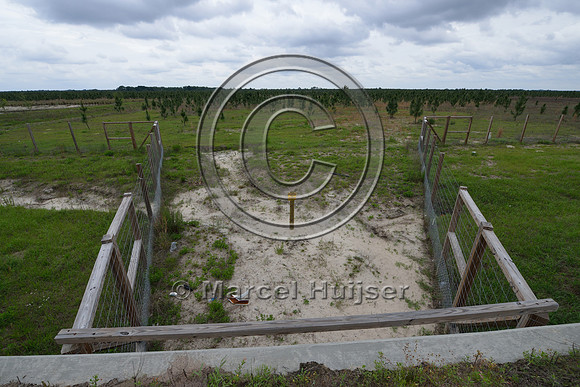 Wildlife fence (smaller mesh size towards bottom) funnels wildlife towards wildlife underpass, Hwy 331, Hwy 83 near Freeport, Florida, USA