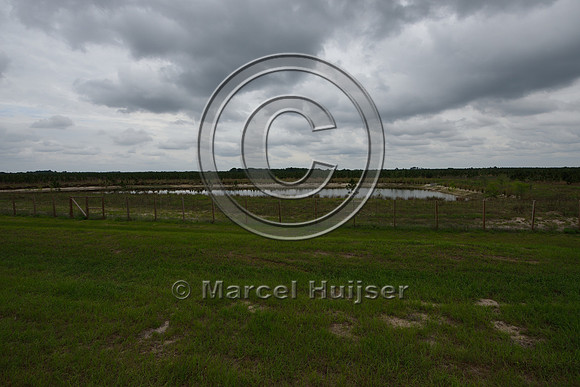Pond (water) near wildlife underpass, Hwy 331, Hwy 83 near Freeport, Florida, USA