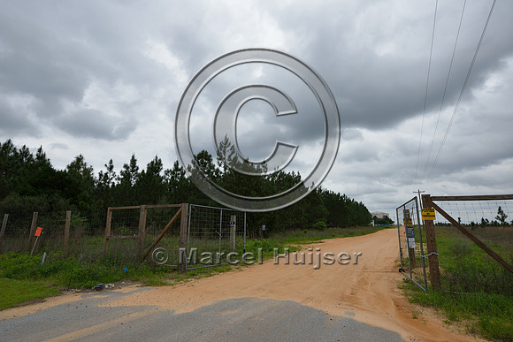 Wildlife fence (smaller mesh size towards bottom), Hwy 331, Hwy 83 near Freeport, Florida, USA