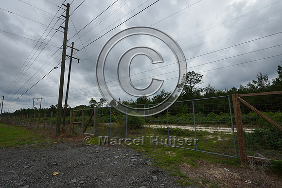 Wildlife fence (smaller mesh size towards bottom) funnels wildlife towards wildlife underpass, Hwy 331, Hwy 83 near Freeport, Florida, USA