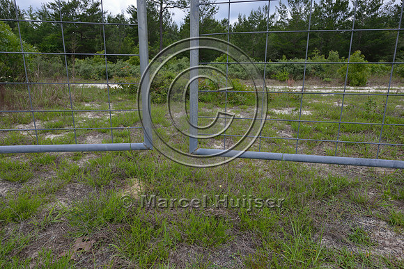 Gate does not have a snug fit to the ground and may allow for animals to crawl under the gate into the fenced road corridor, Hwy 331, Hwy 83 near Freeport, Florida, USA