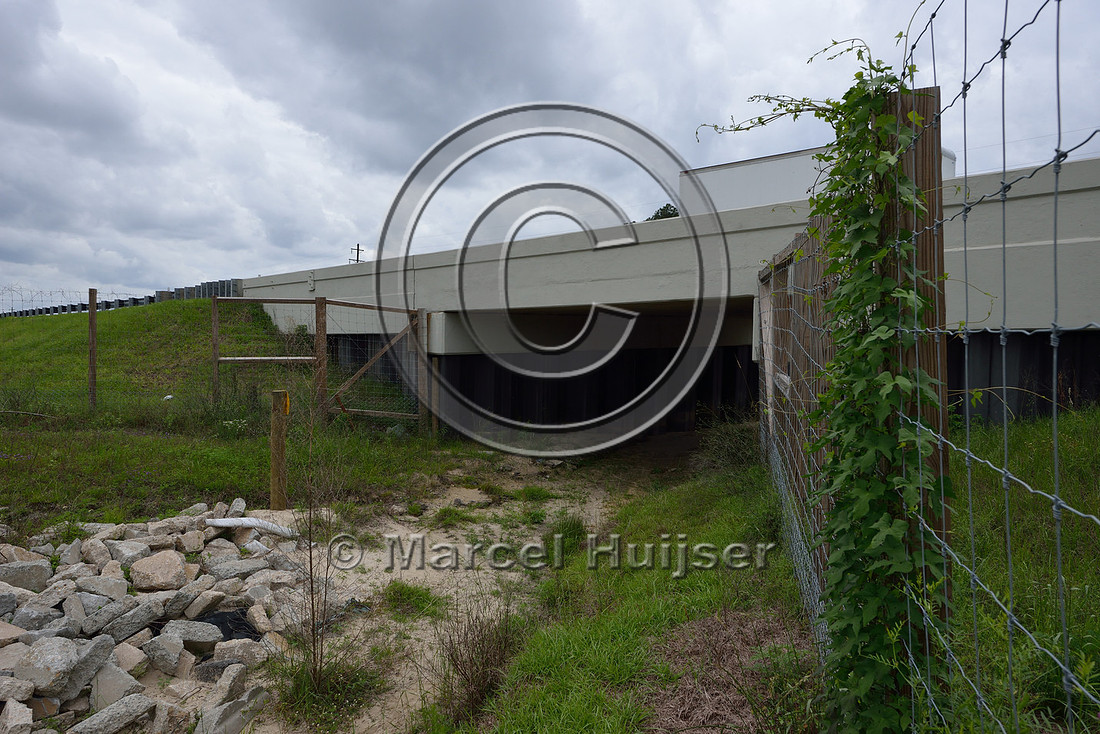 Wildlife fence (smaller mesh size towards bottom) funnels wildlife towards wildlife underpass, Hwy 331, Hwy 83 near Freeport, Florida, USA