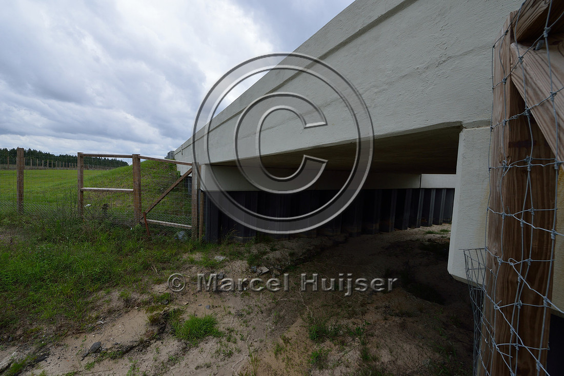 Wildlife fence (smaller mesh size towards bottom) funnels wildlife towards wildlife underpass, Hwy 331, Hwy 83 near Freeport, Florida, USA