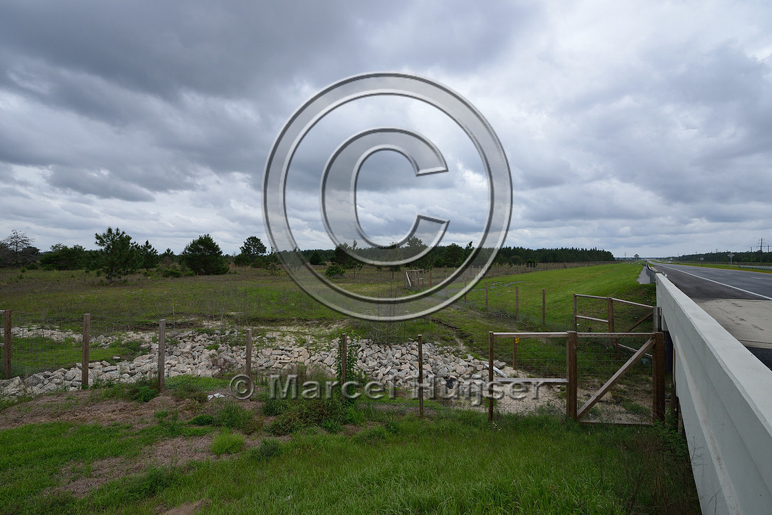 Wildlife fence (smaller mesh size towards bottom) funnels wildlife towards wildlife underpass, Hwy 331, Hwy 83 near Freeport, Florida, USA