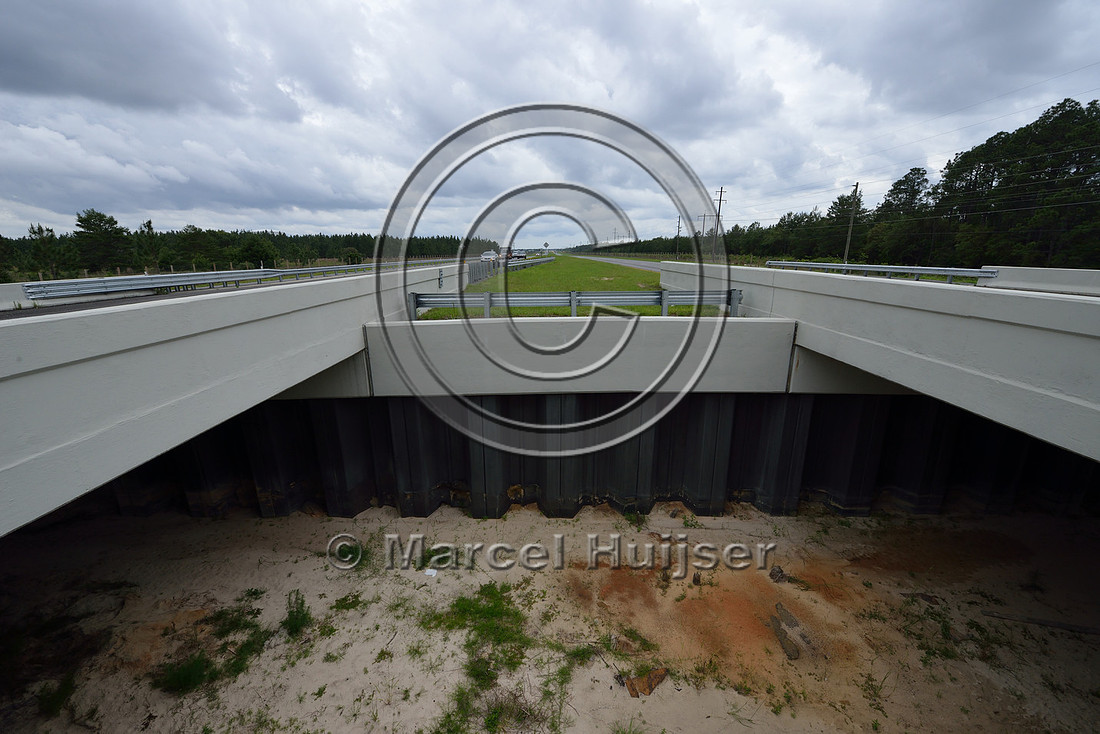 Opening in median to allow light and moisture in the wildlife underpass, Hwy 331, Hwy 83 near Freeport, Florida, USA
