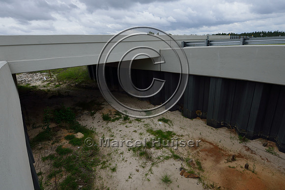 Opening in median to allow light and moisture in the wildlife underpass, Hwy 331, Hwy 83 near Freeport, Florida, USA