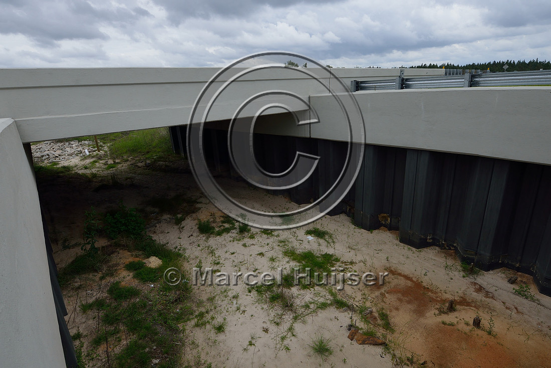 Opening in median to allow light and moisture in the wildlife underpass, Hwy 331, Hwy 83 near Freeport, Florida, USA