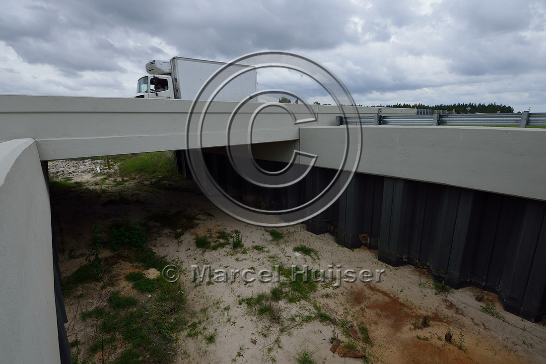 Opening in median to allow light and moisture in the wildlife underpass, Hwy 331, Hwy 83 near Freeport, Florida, USA