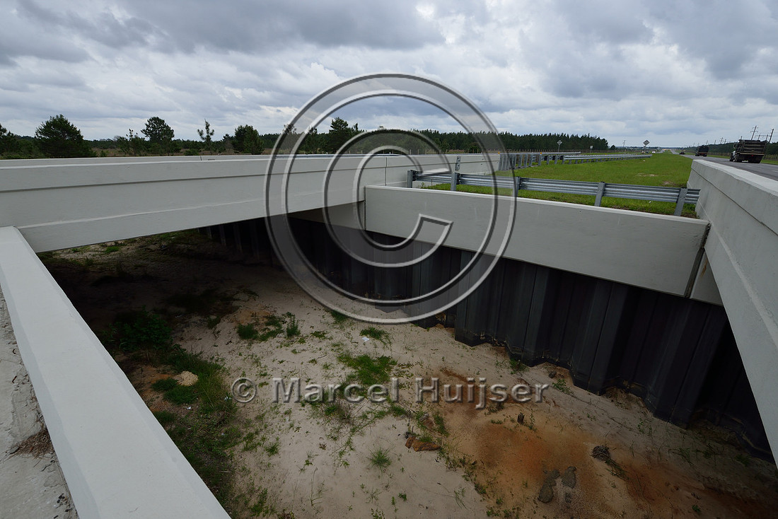 Opening in median to allow light and moisture in the wildlife underpass, Hwy 331, Hwy 83 near Freeport, Florida, USA
