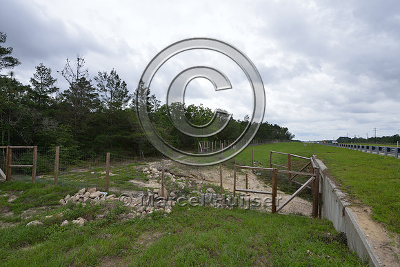 Wildlife fence (smaller mesh size towards bottom) funnels wildlife towards wildlife underpass, Hwy 331, Hwy 83 near Freeport, Florida, USA