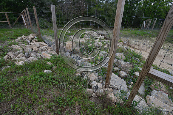 Riprap at wildlife fence to reduce erosion at wildlife underpass, Hwy 331, Hwy 83 near Freeport, Florida, USA