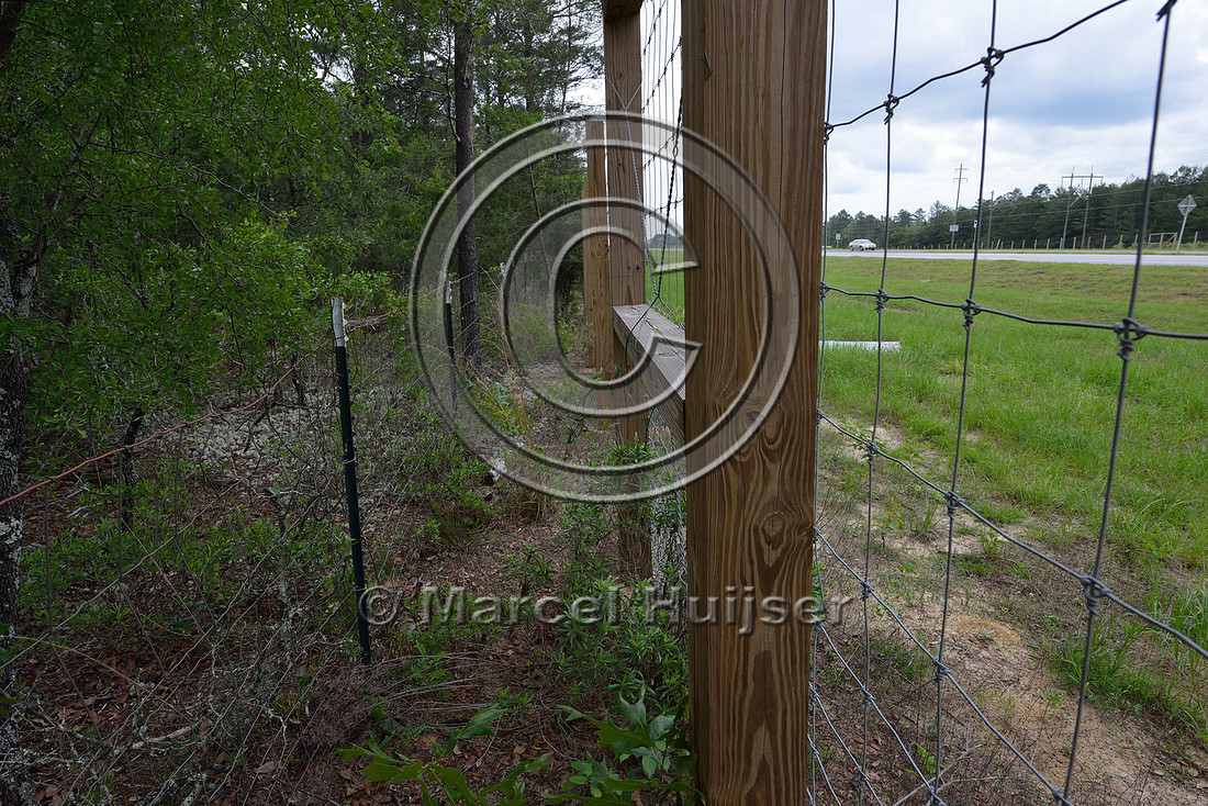 Gap between right-of-way fence and wildlife fence to allow for easy access and maintenance in right-of-way, Hwy 331, Hwy 83 near Freeport, Florida, USA