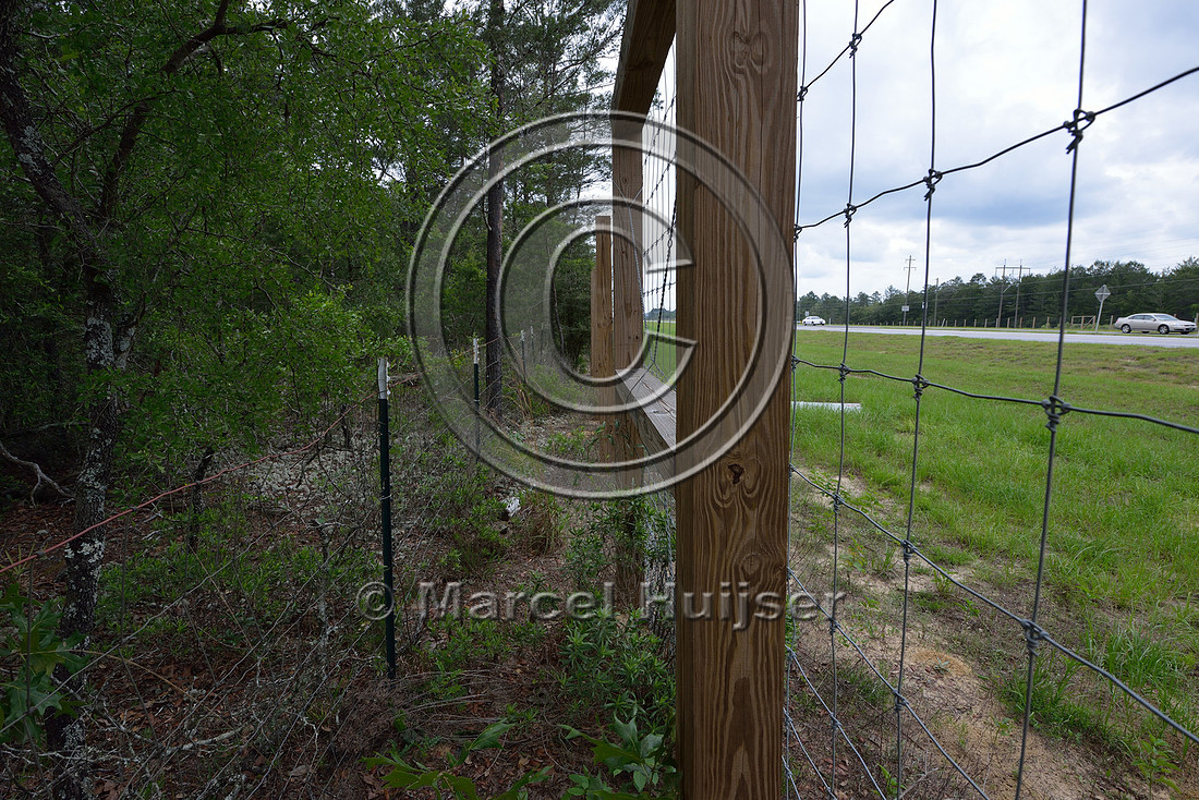 Gap between right-of-way fence and wildlife fence to allow for easy access and maintenance in right-of-way, Hwy 331, Hwy 83 near Freeport, Florida, USA
