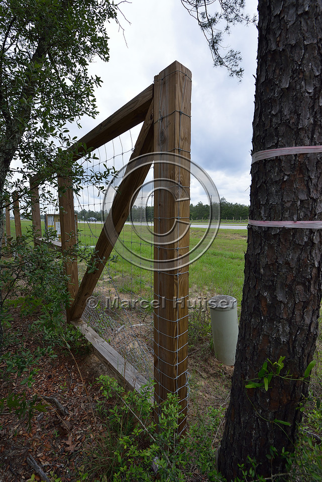 End of wildlife fence to allow for easy access and maintenance in right-of-way, Hwy 331, Hwy 83 near Freeport, Florida, USA
