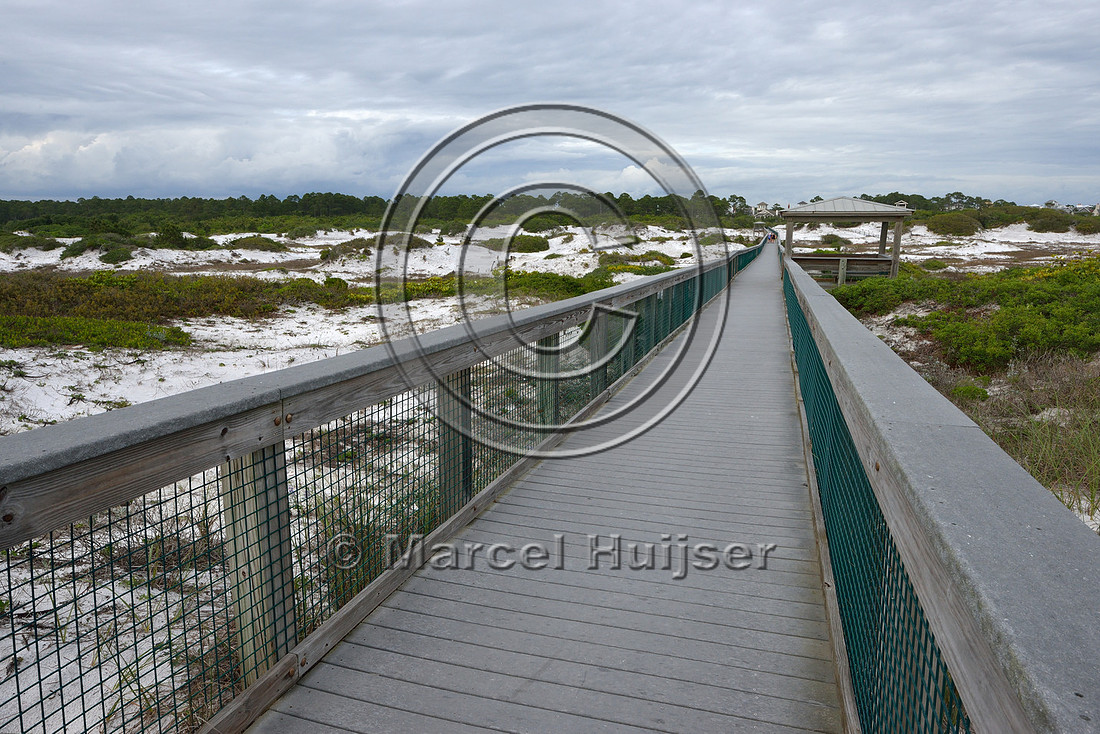 Boardwalk across coastal dunes to reduce erosion, east of Seagrove Beach. Florida, USA
