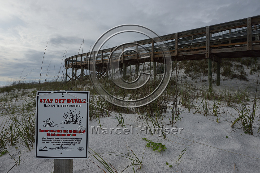 Sign at boardwalk across coastal dunes to reduce erosion, east of Seagrove Beach. Florida, USA