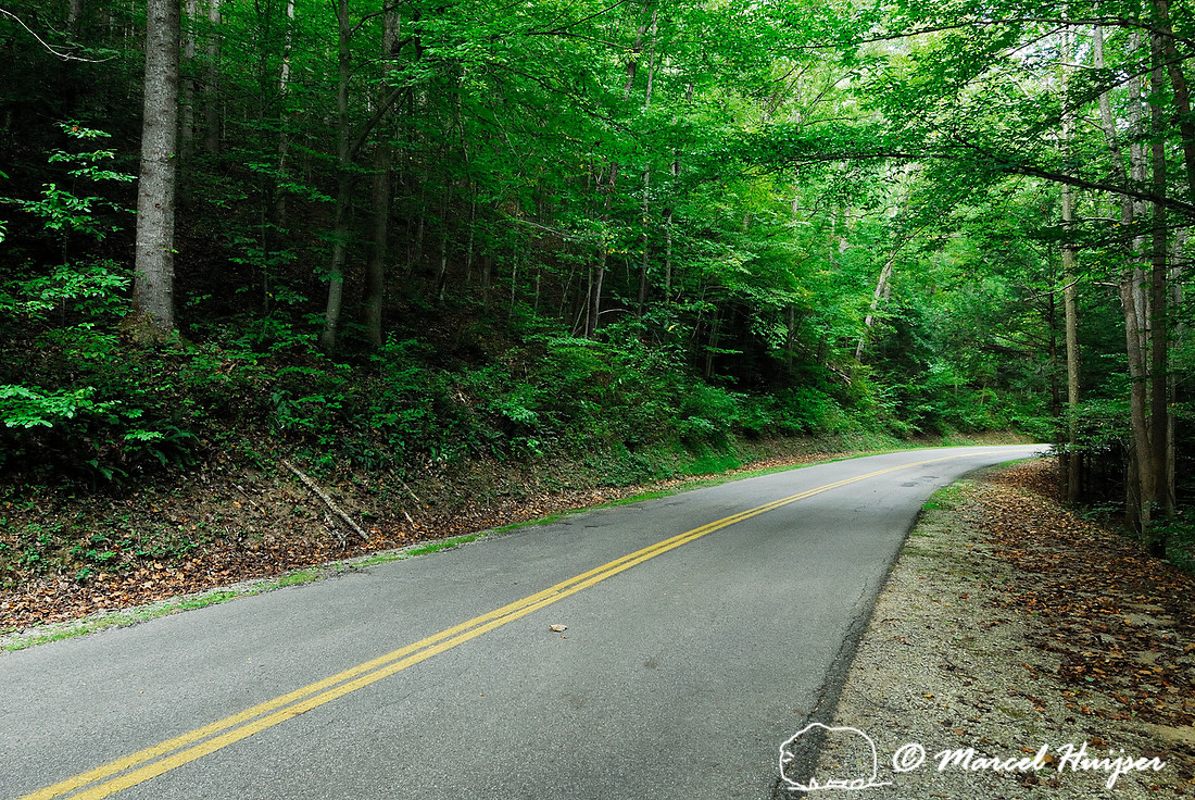 Road through Kanawha State Forest, West Virginia, USA