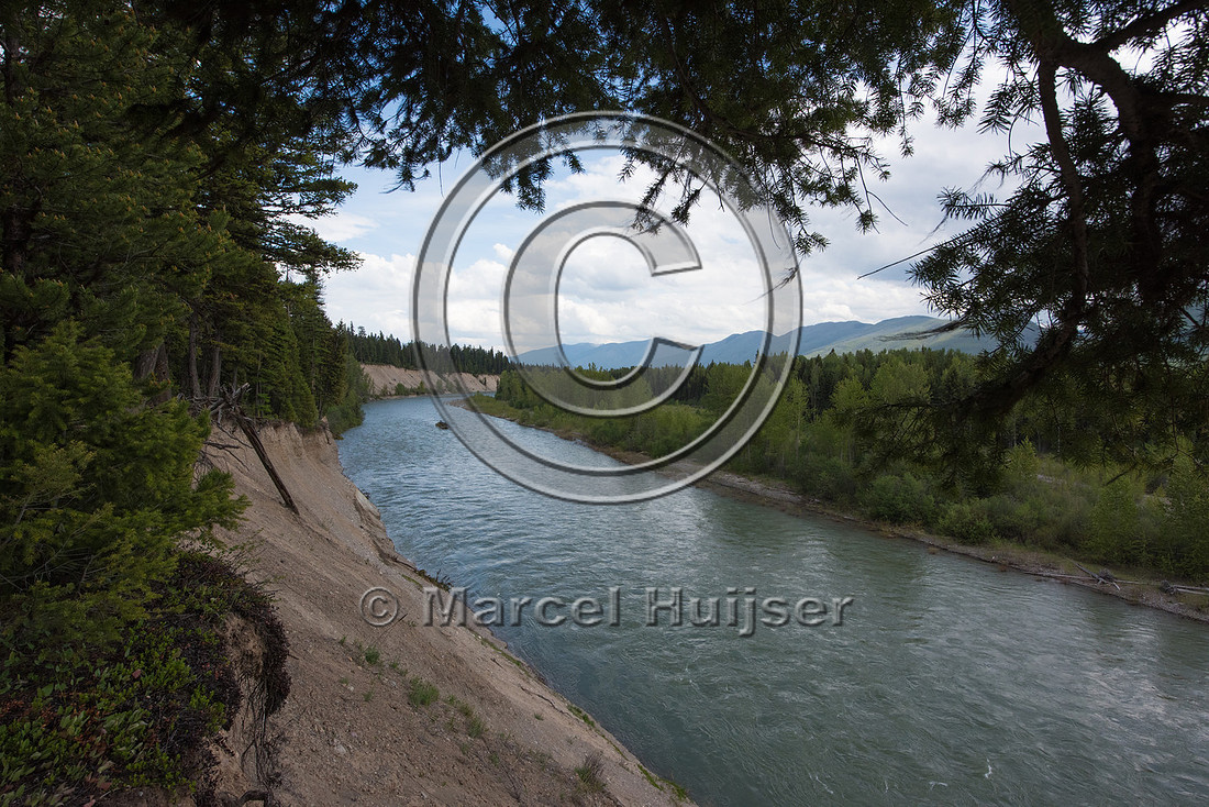 The North Fork of the Flathead river erodes river bank and adjac