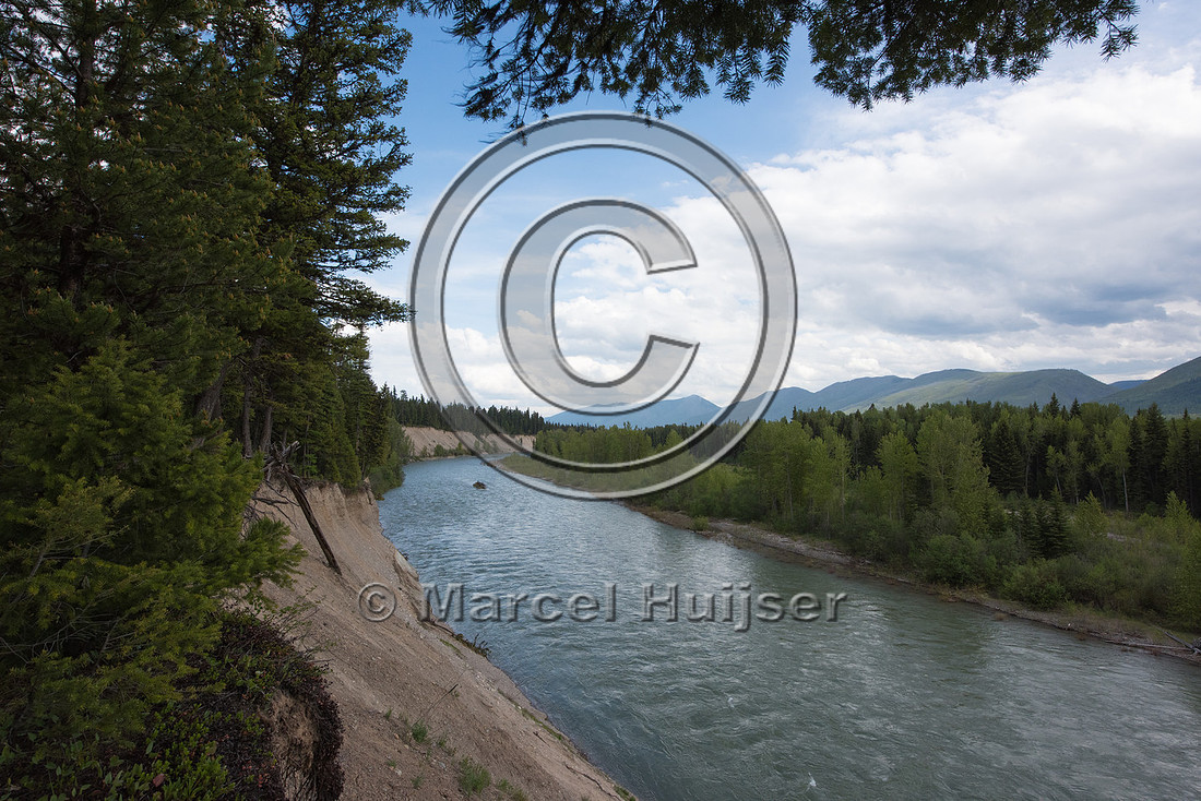 The North Fork of the Flathead river erodes river bank and adjac